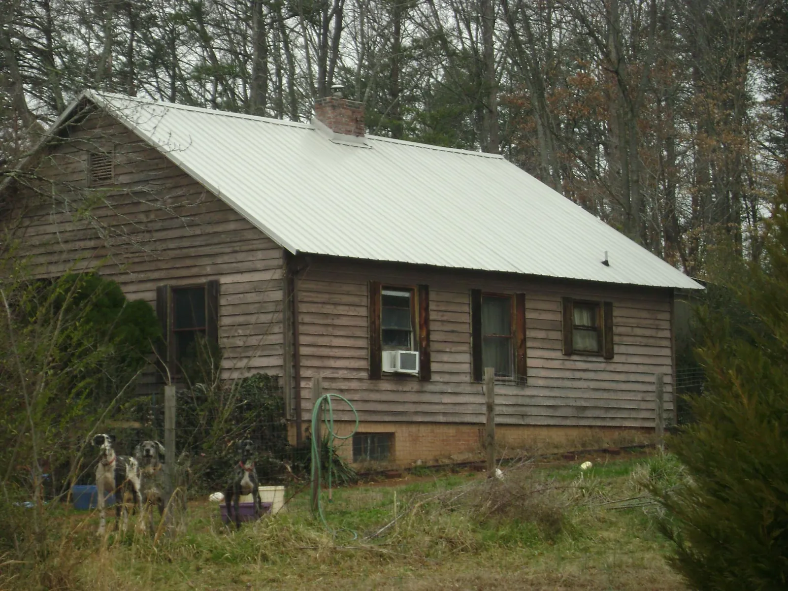 White metal roof on an old wood sided farmhouse, from a Asphalt Shingle Roof Repair job in Lake Milton